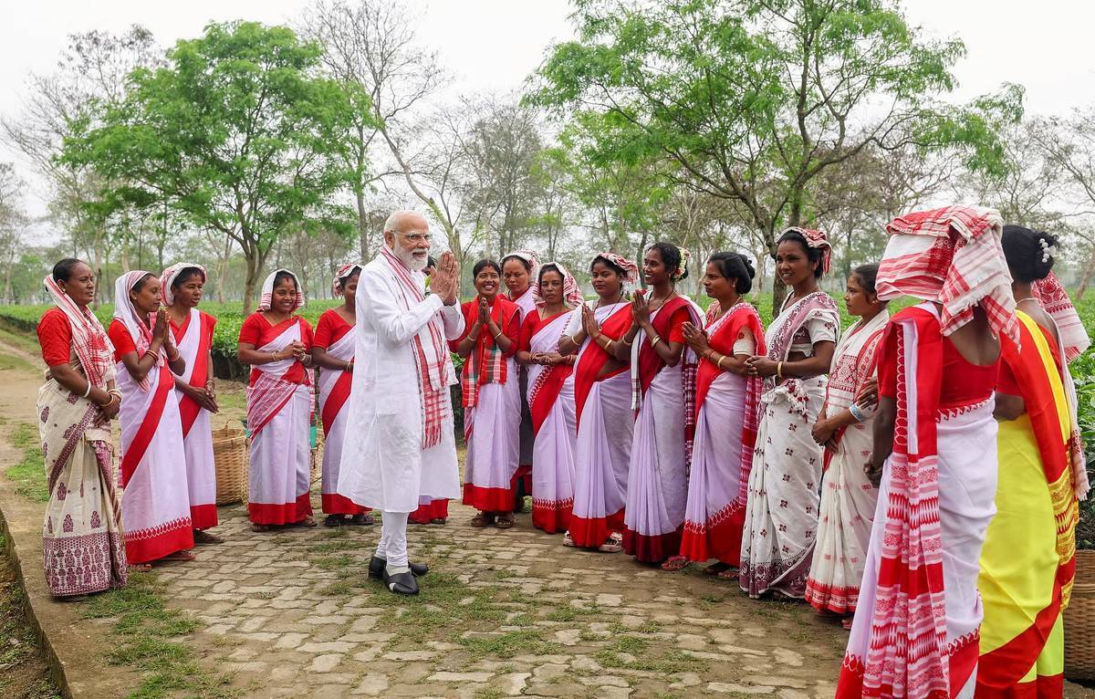 مشارکت نخست‌وزیر هند در برداشت برگ چای 