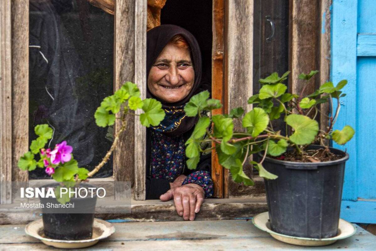 روستای زیبای شانه‌تراش جایی میان مه و کوه