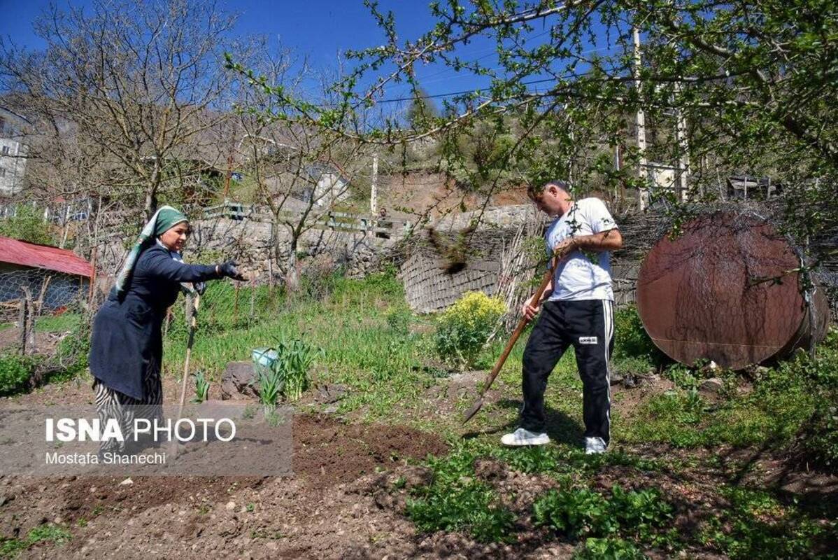 روستای زیبای شانه‌تراش جایی میان مه و کوه