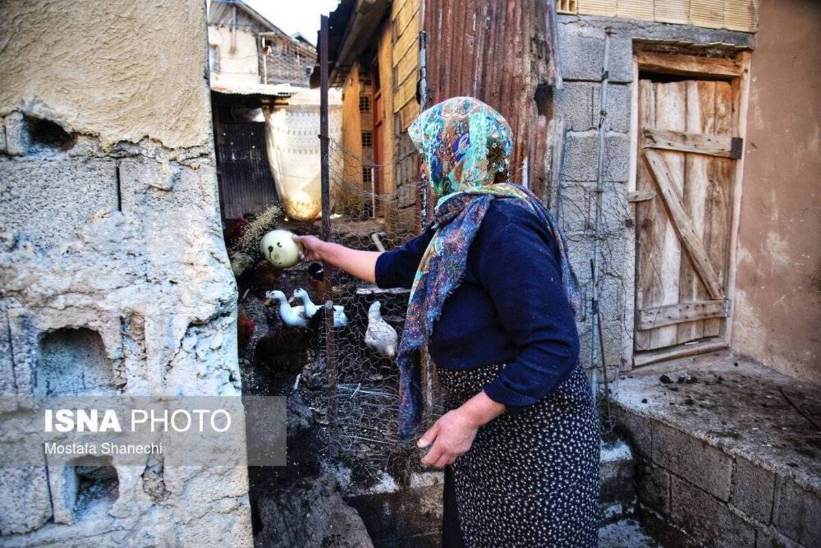 روستای زیبای شانه‌تراش جایی میان مه و کوه