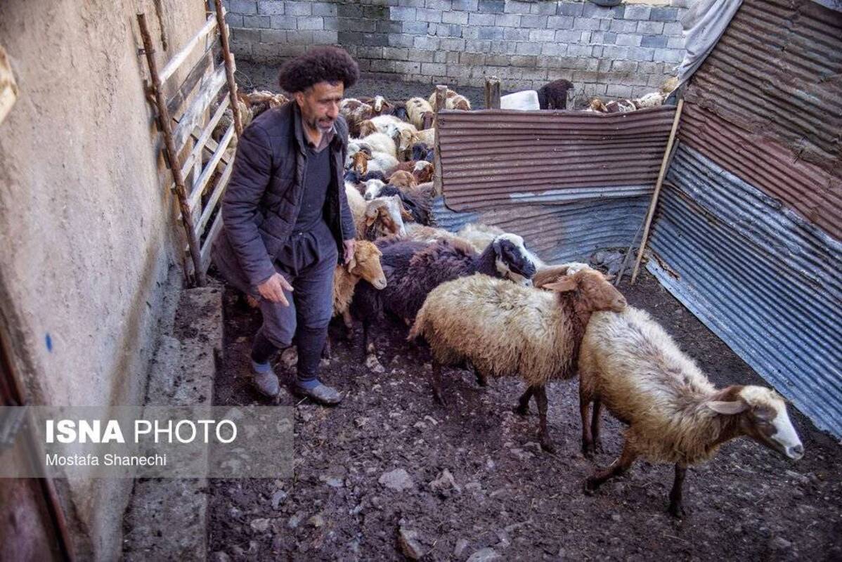 روستای زیبای شانه‌تراش جایی میان مه و کوه