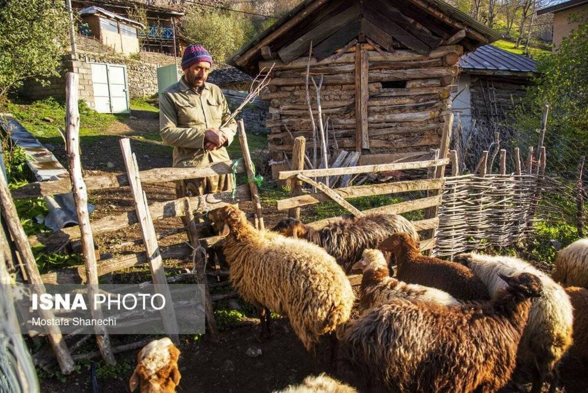 روستای زیبای شانه‌تراش جایی میان مه و کوه