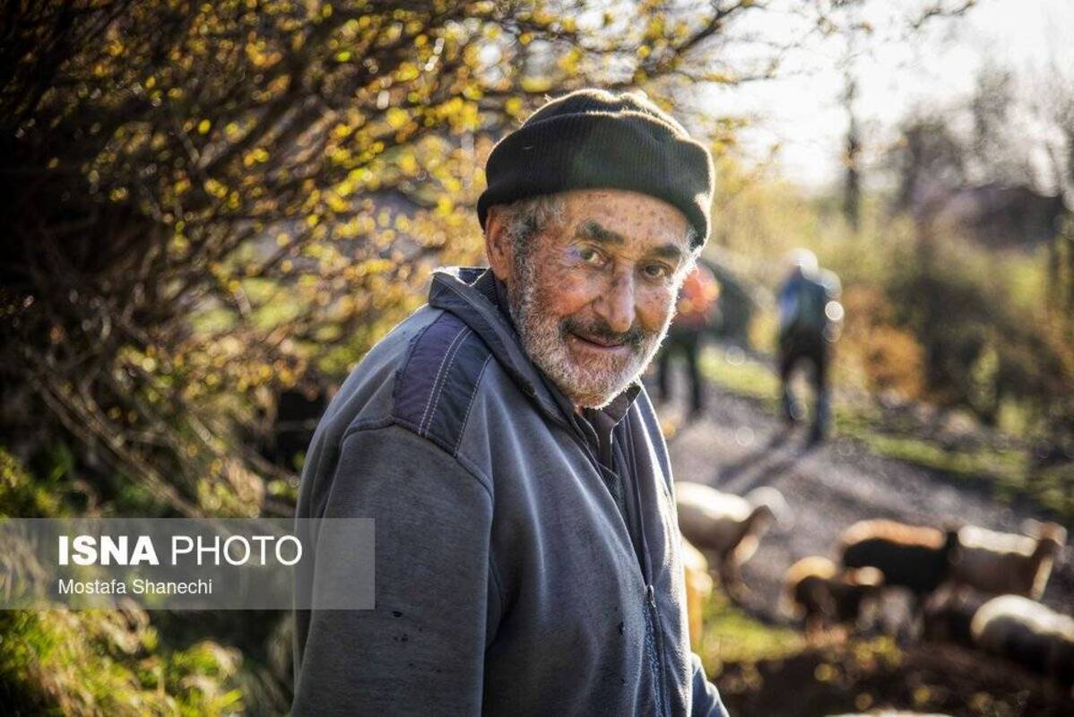 روستای زیبای شانه‌تراش جایی میان مه و کوه