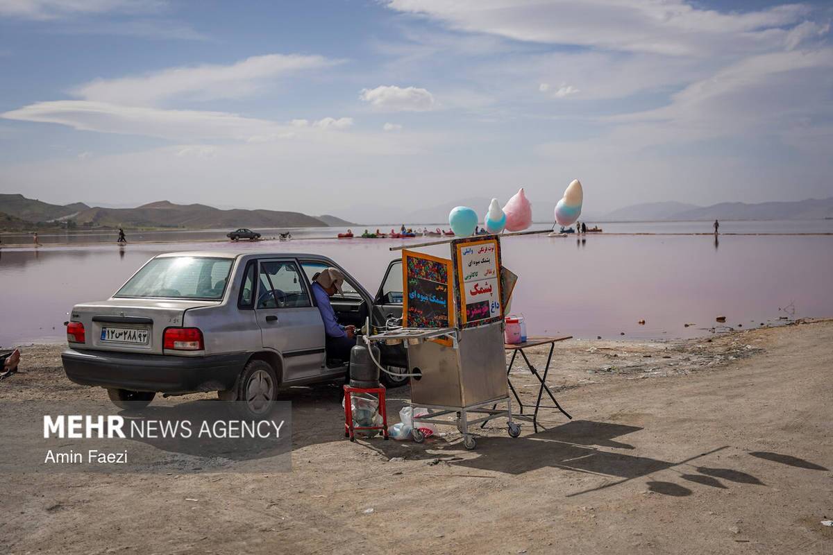 بازگشت رنگ صورتی به دریاچه مهارلو شیراز