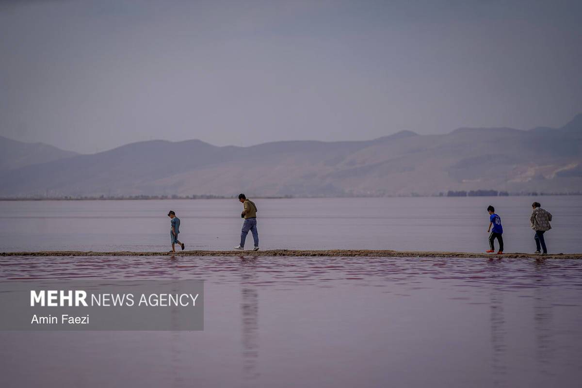 بازگشت رنگ صورتی به دریاچه مهارلو شیراز