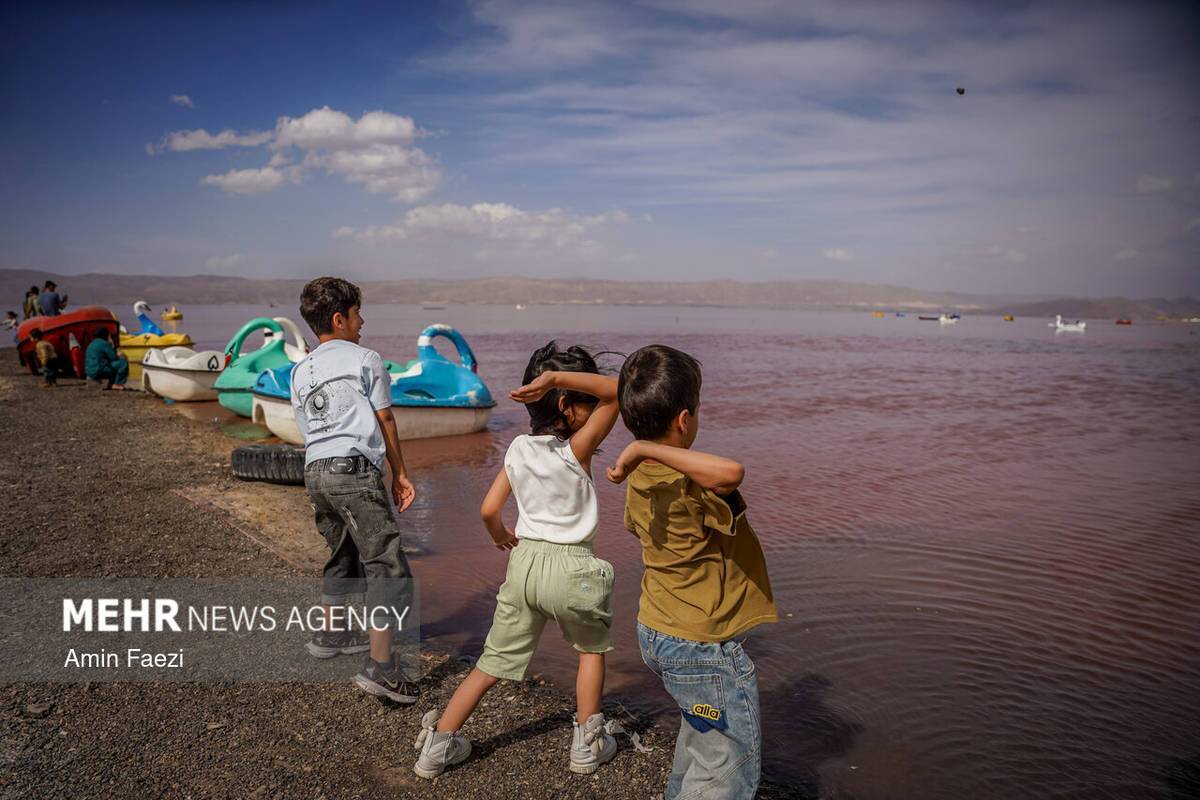 بازگشت رنگ صورتی به دریاچه مهارلو شیراز