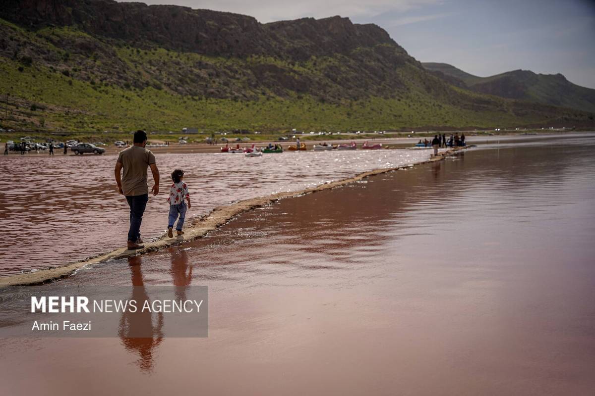 بازگشت رنگ صورتی به دریاچه مهارلو شیراز