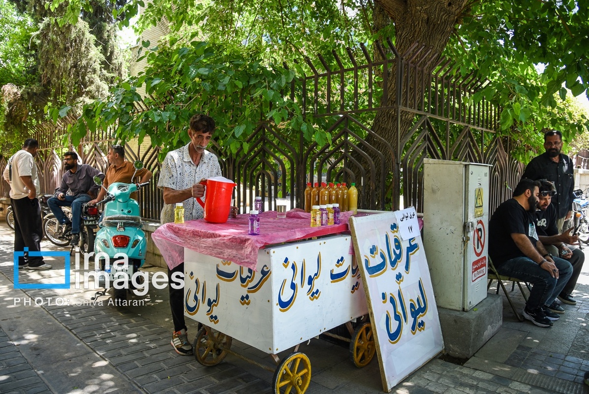 قدم زدن در خیابان لطفعلی‌خان زند در روز شیراز