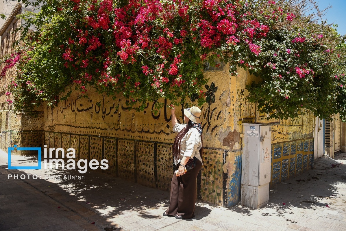قدم زدن در خیابان لطفعلی‌خان زند در روز شیراز