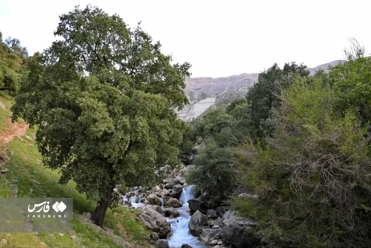 رقص چشمه‌های دروغین در دل کوهستان