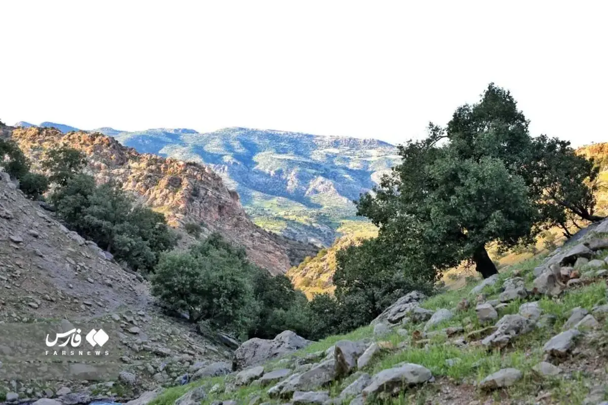رقص چشمه‌های دروغین در دل کوهستان