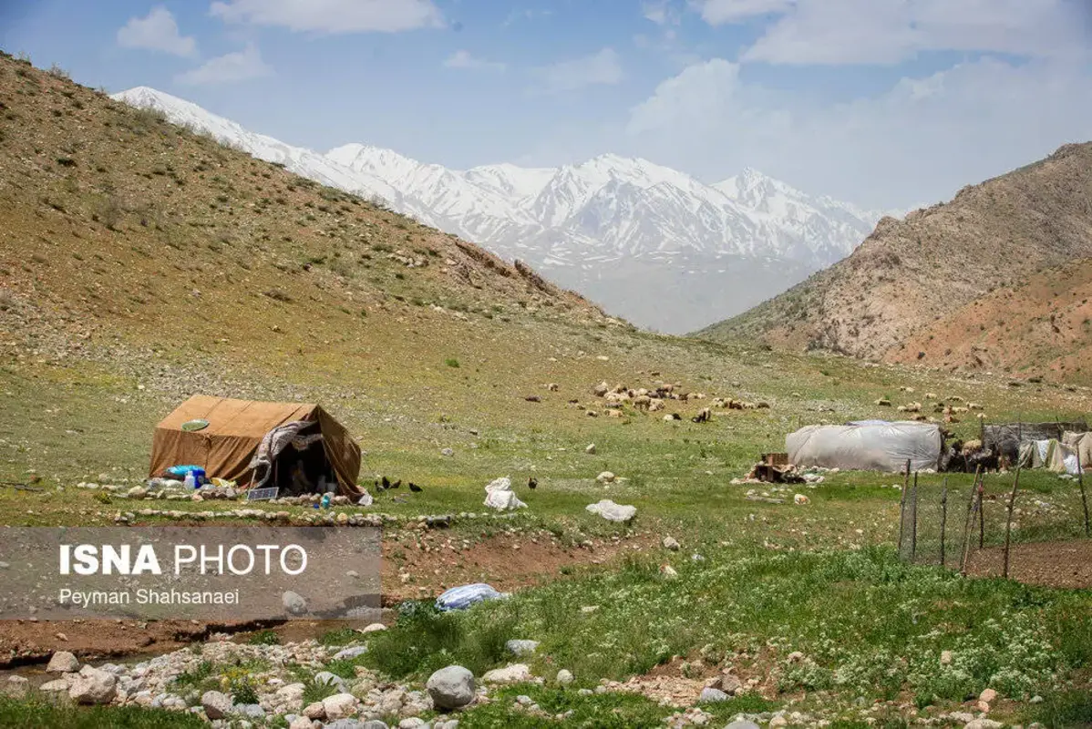 آغاز کوچ عشایر ایل قشقایی به ییلاقات