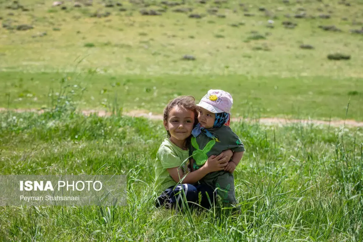 آغاز کوچ عشایر ایل قشقایی به ییلاقات
