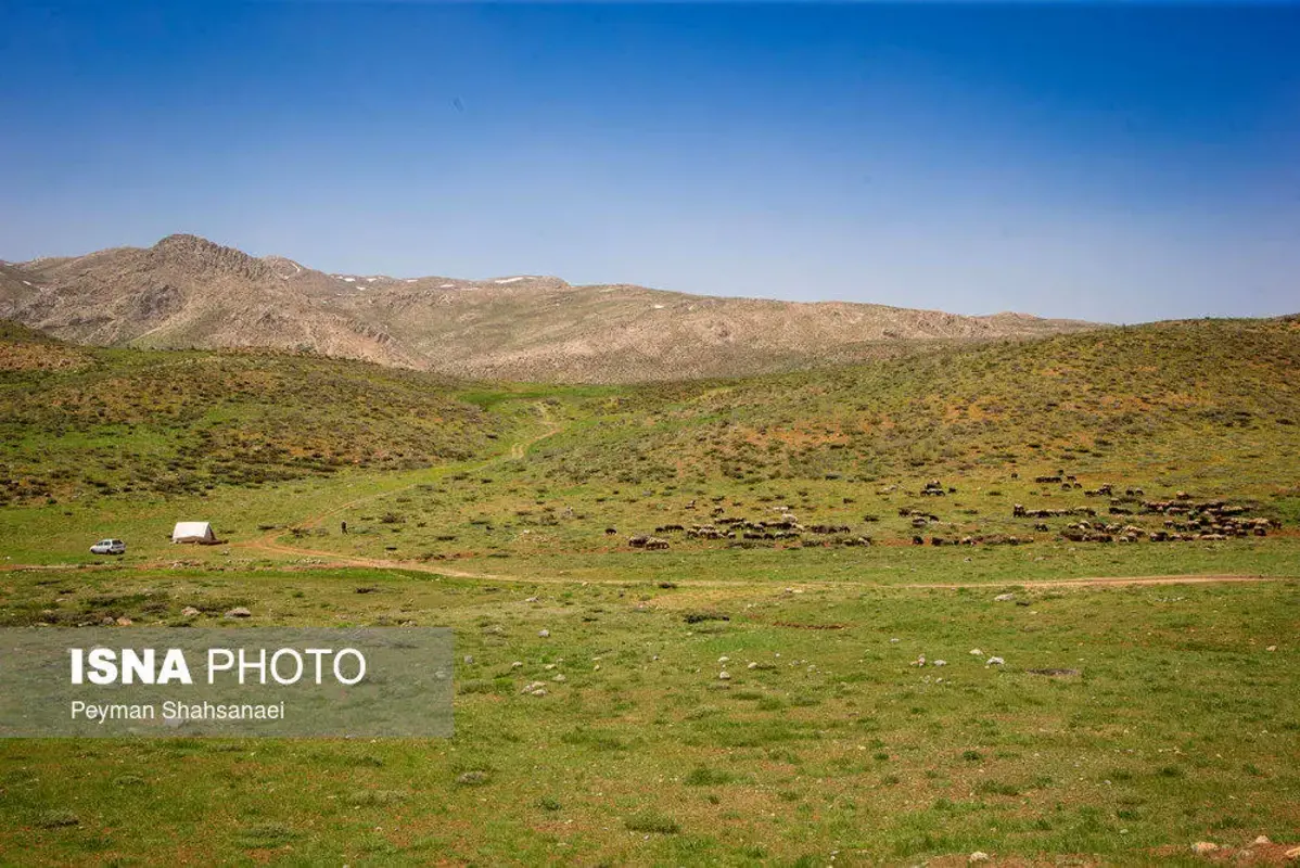 آغاز کوچ عشایر ایل قشقایی به ییلاقات