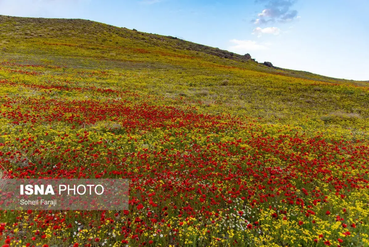 طبیعت چشم نواز و هزار رنگ جلگه ارومیه