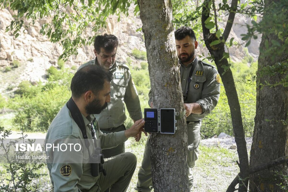 محیط بانان منطقه حفاظت شده سرتنگه سوادکوه