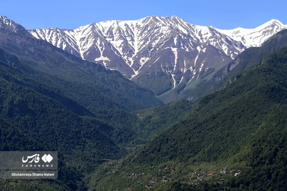جنگل‌های دوهزار شهسوار در تصرف زمین‌خواران