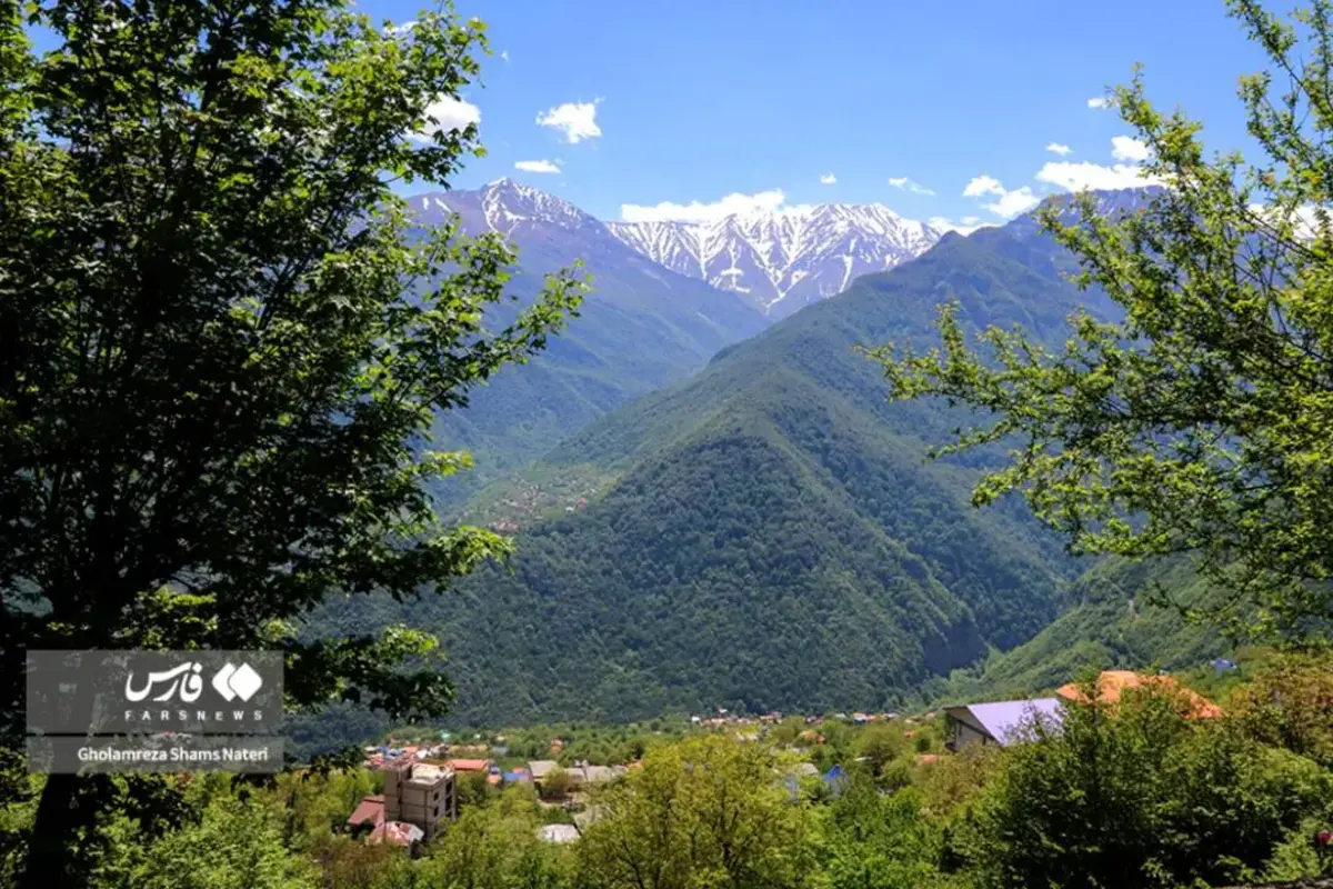 جنگل‌های دوهزار شهسوار در تصرف زمین‌خواران