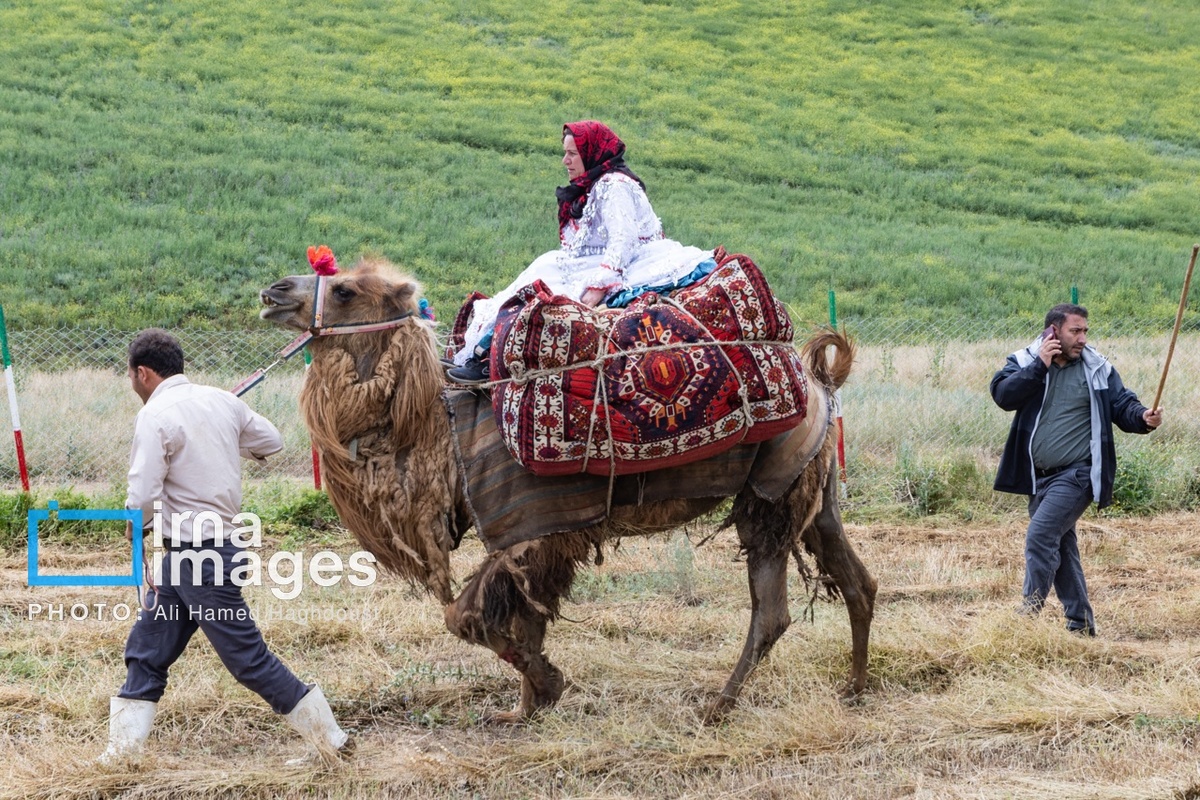 برگزاری سی‌ویکمین جشنواره عشایر آذربایجان
