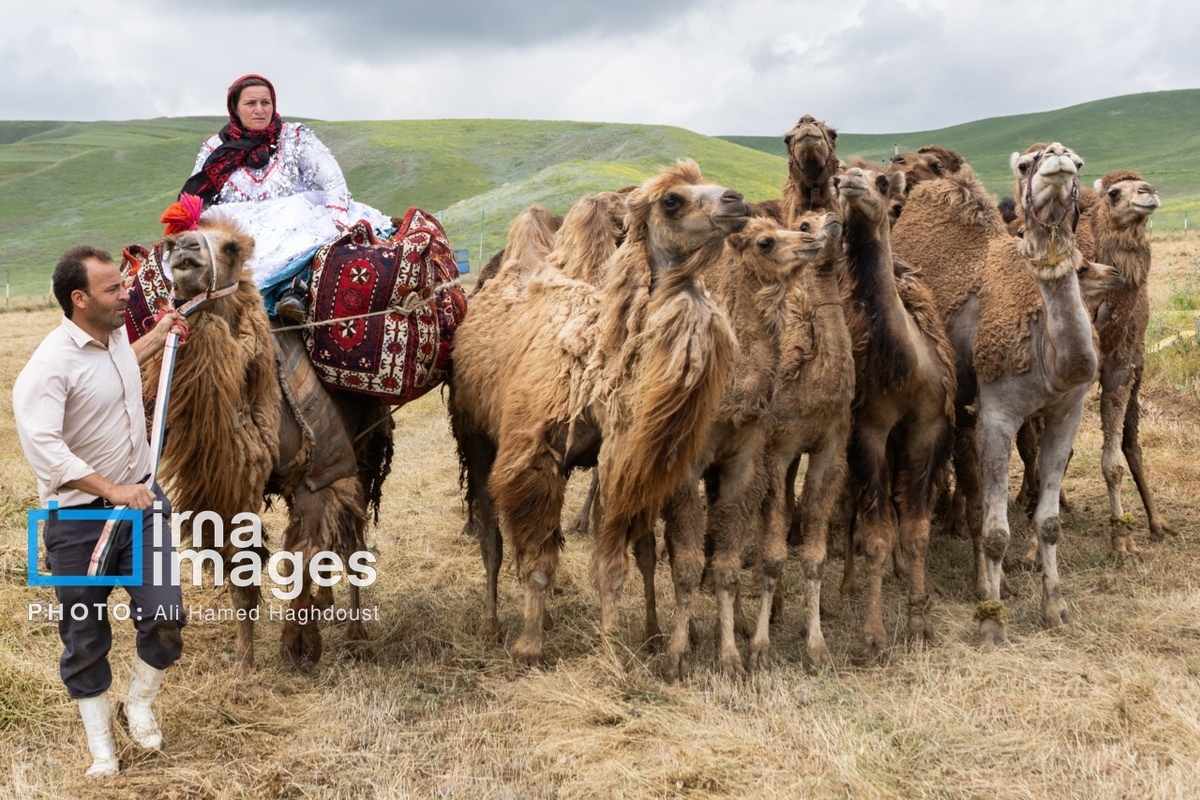 برگزاری سی‌ویکمین جشنواره عشایر آذربایجان
