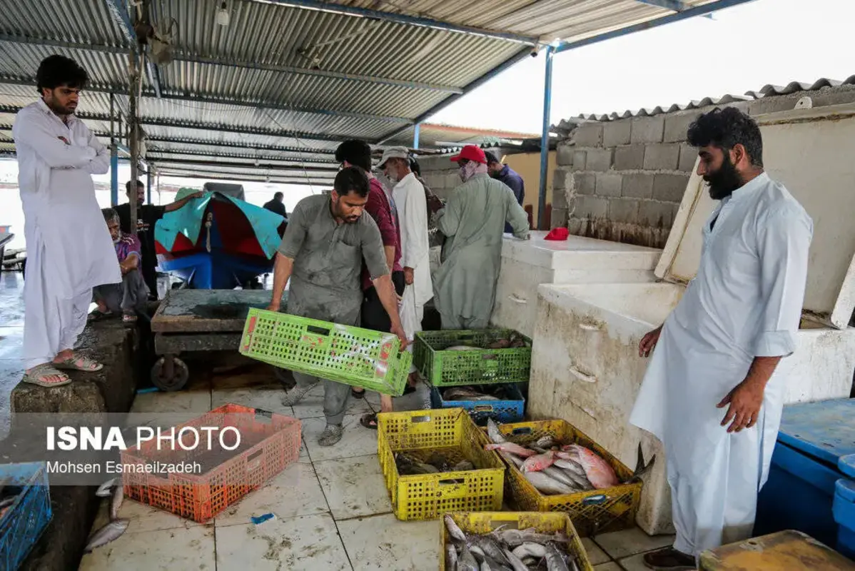 دریا کوچیک، قلب آرام صیادی و زندگی ساحلی در چابهار 