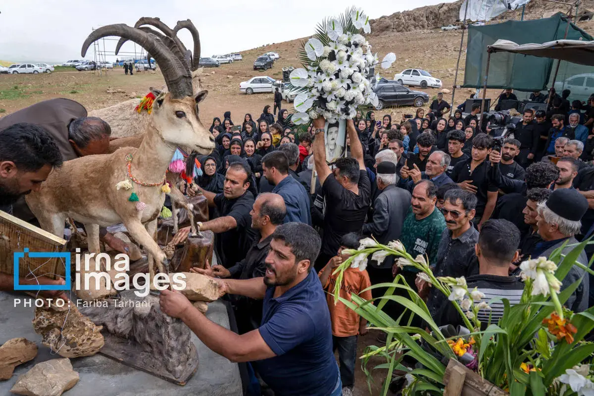 کتل و چمر دو رسم آئینی در میان اقوام لر