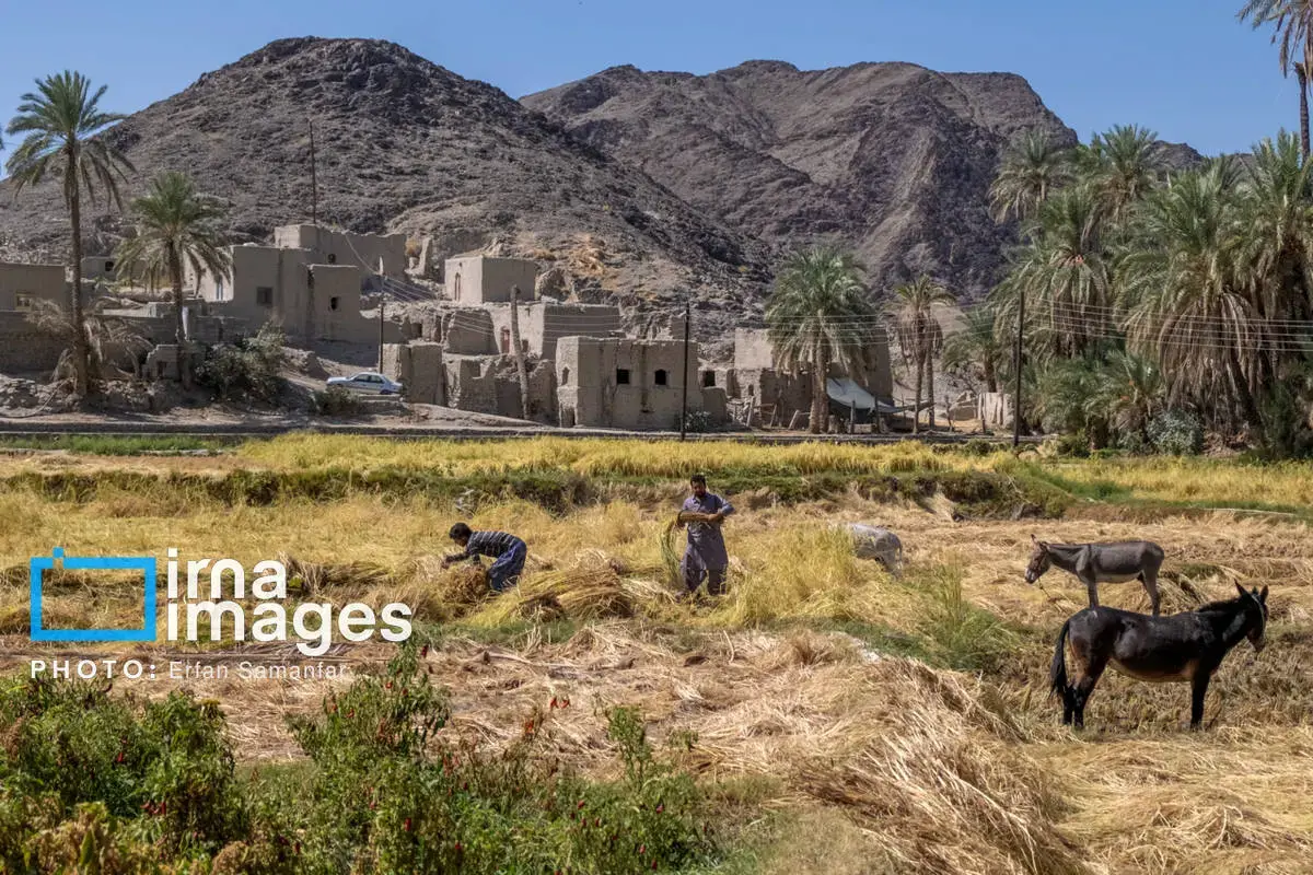 سیستان و بلوچستان شهر سوخته و سرزمین باد و دریا