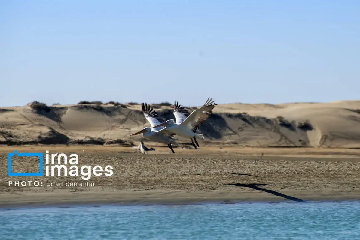 سیستان و بلوچستان شهر سوخته و سرزمین باد و دریا