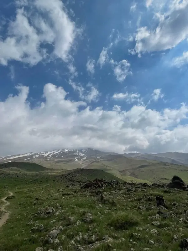 مهتاب ثروتی