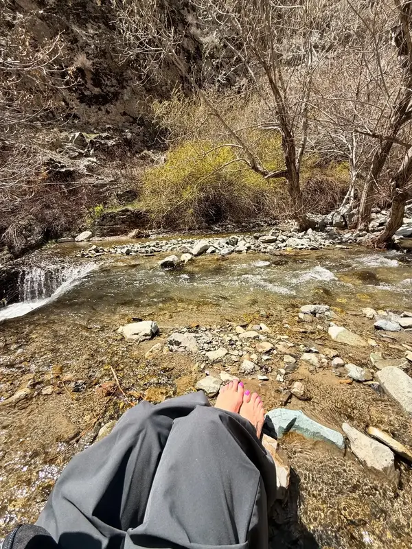 مریم معصومی