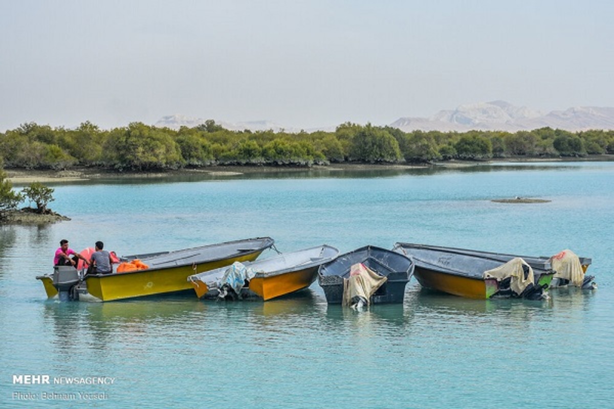 بهار قشم در فصل زمستان