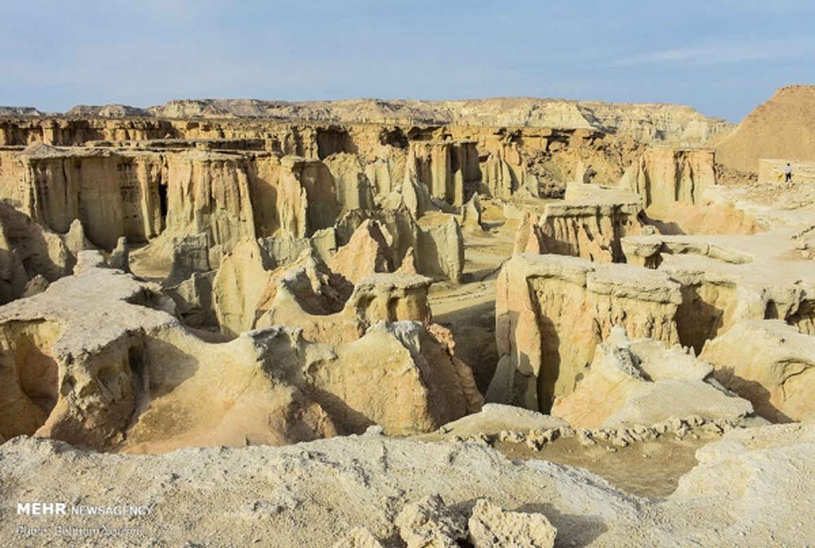 بهار قشم در فصل زمستان