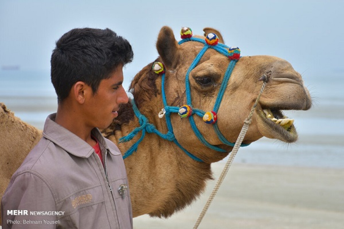 بهار قشم در فصل زمستان