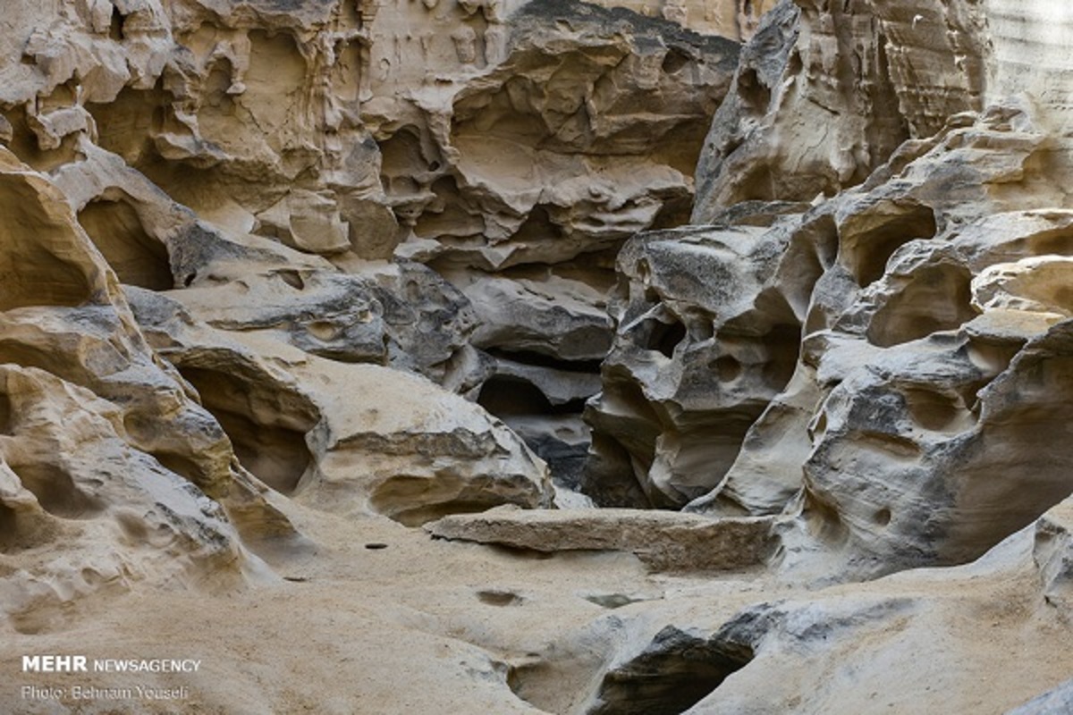 بهار قشم در فصل زمستان