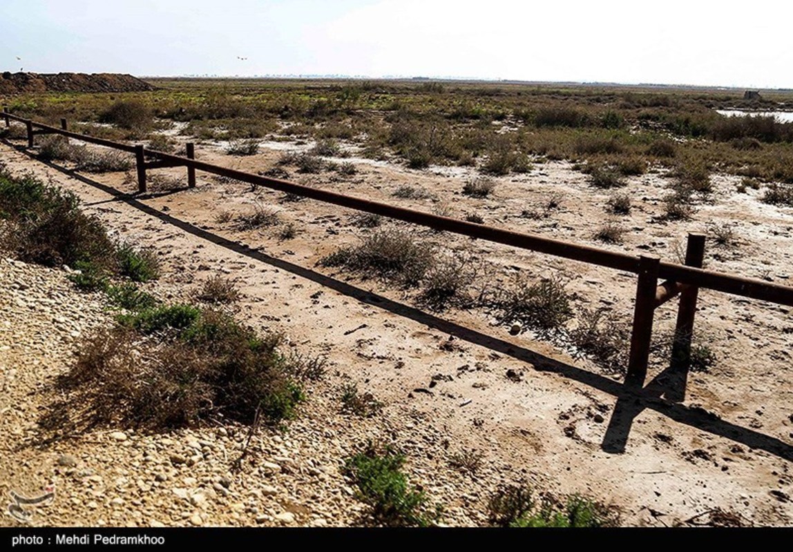 آسیب‌های محیط زیستی میدان نفتی آب تیمور در خوزستان 
