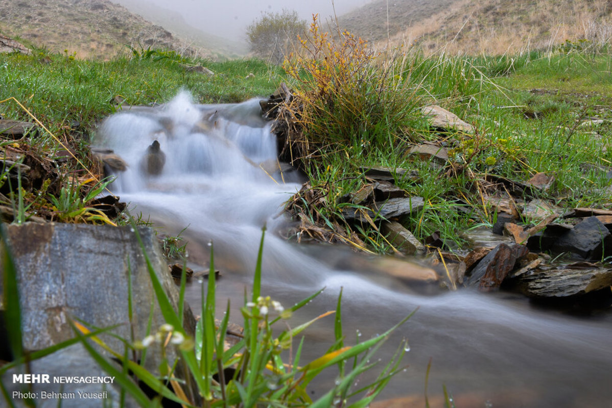 بالا تر از ابرها