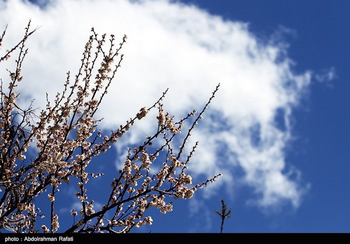  طبیعت بهاری همدان