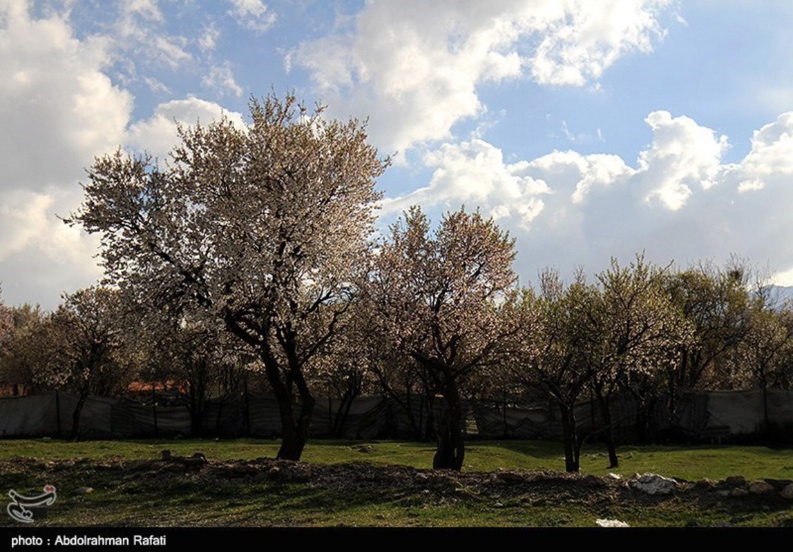  طبیعت بهاری همدان