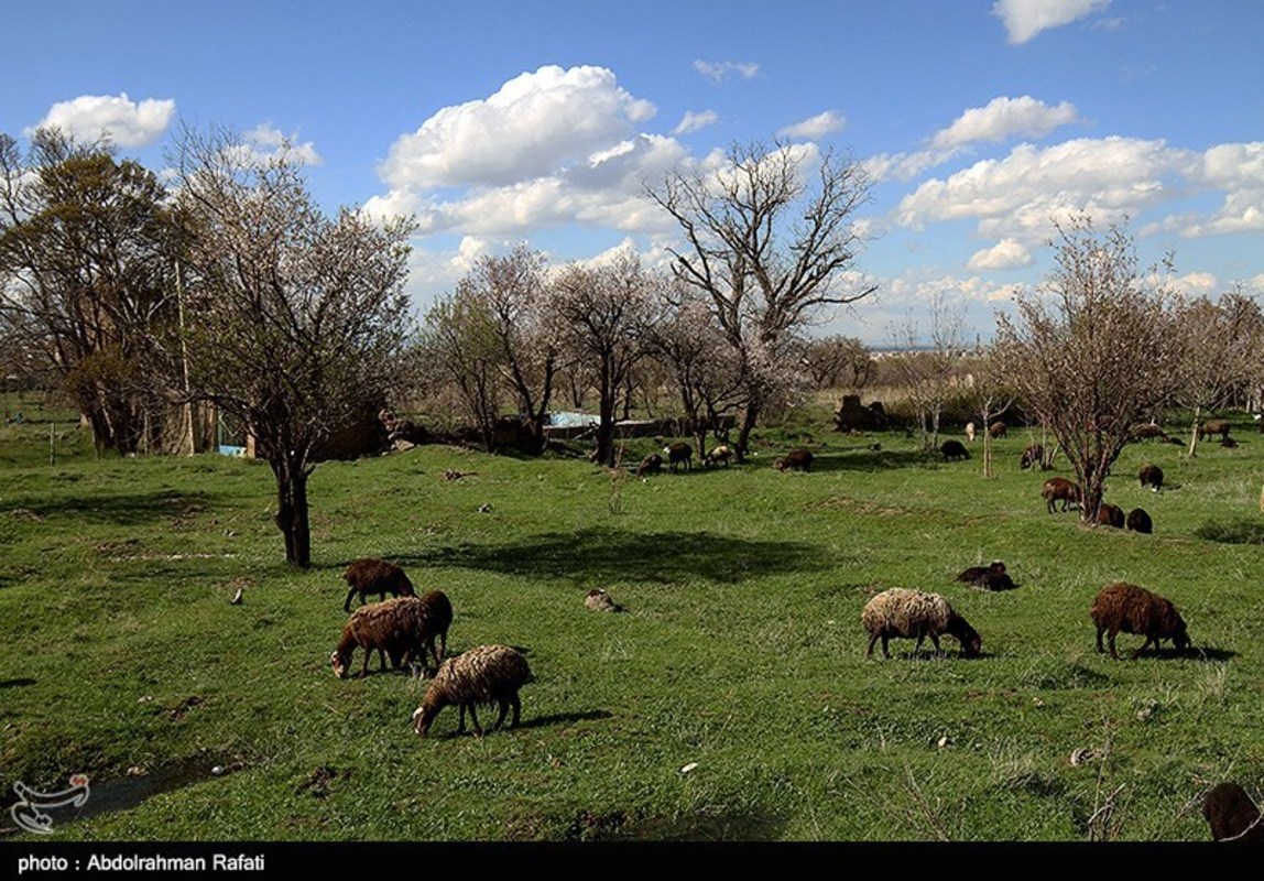  طبیعت بهاری همدان