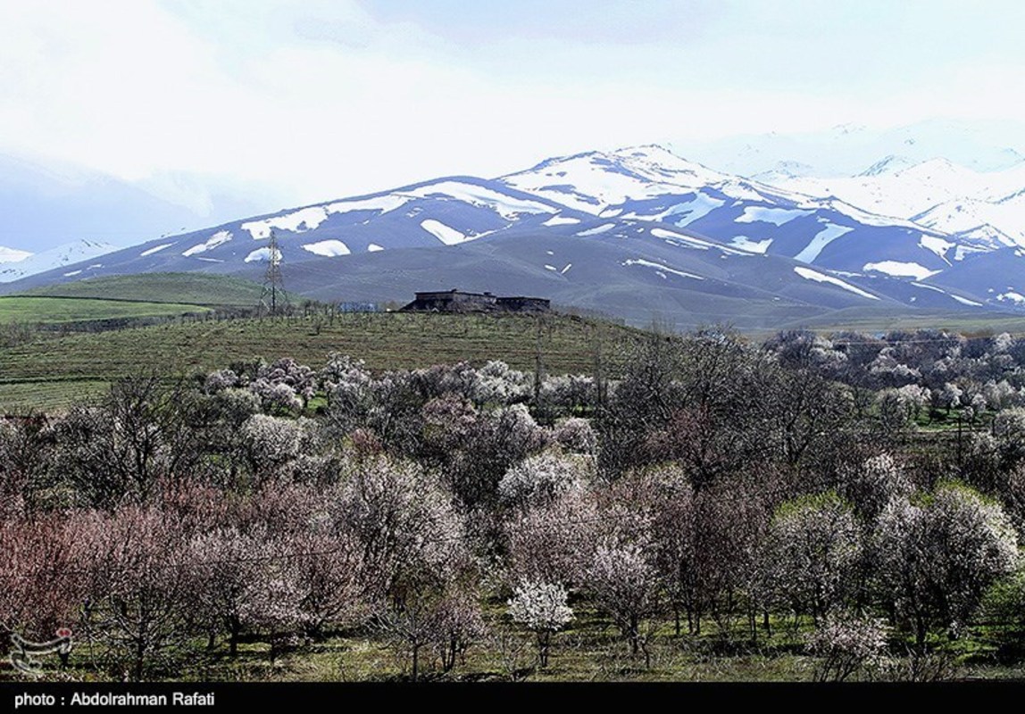  طبیعت بهاری همدان