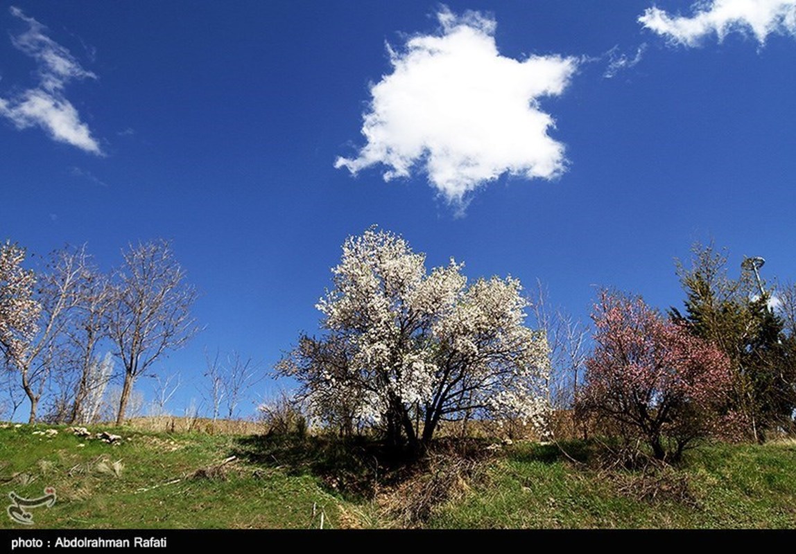  طبیعت بهاری همدان