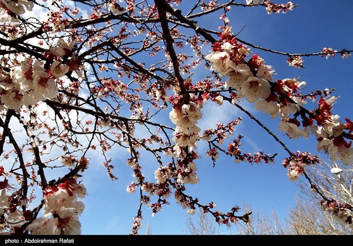  طبیعت بهاری همدان