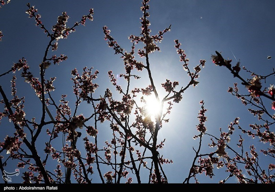  طبیعت بهاری همدان