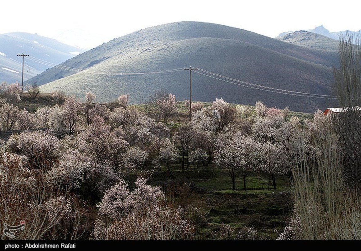  طبیعت بهاری همدان