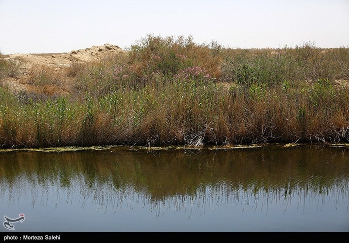 تالاب گاوخونی اصفهان 