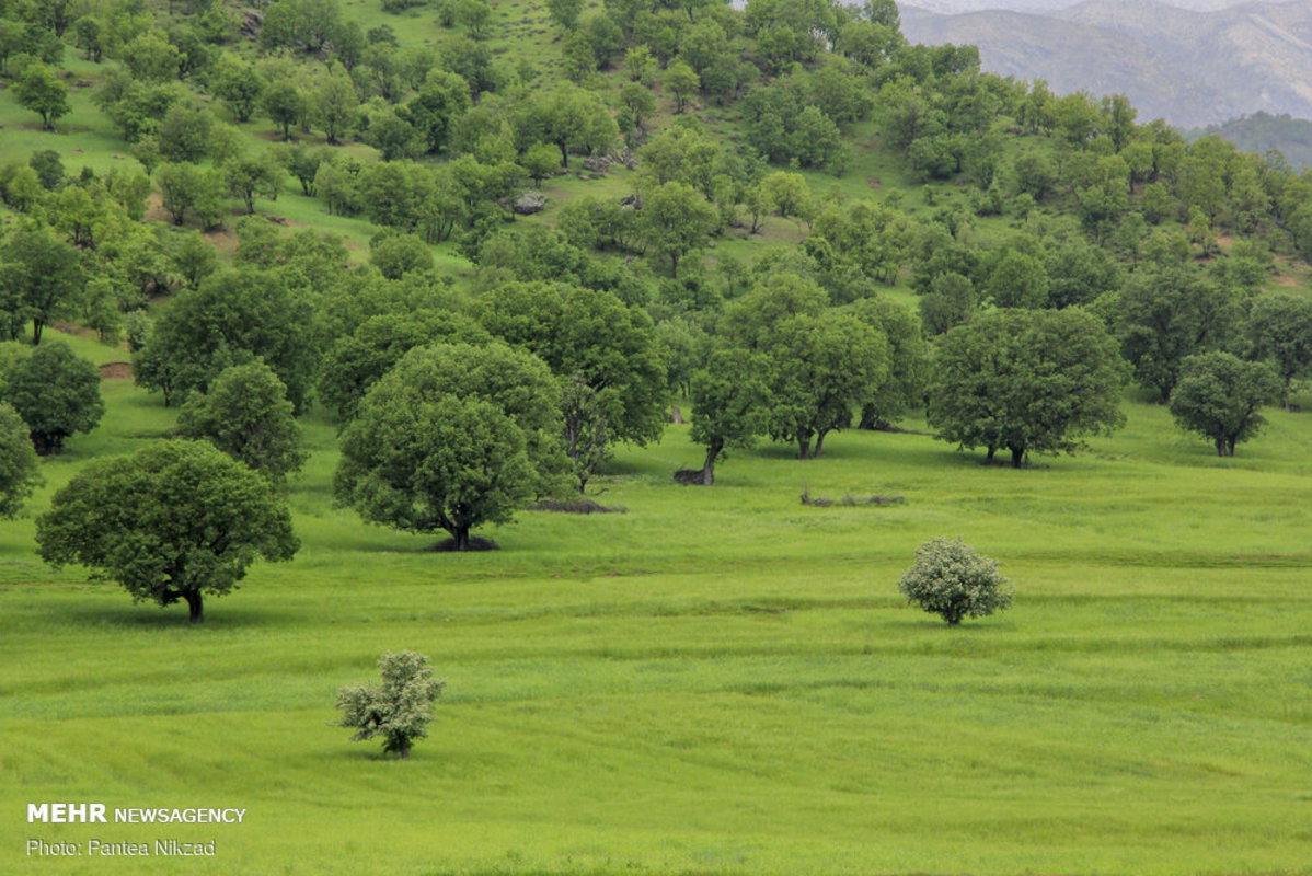 طبیعت بکر و دیدنی بازفت