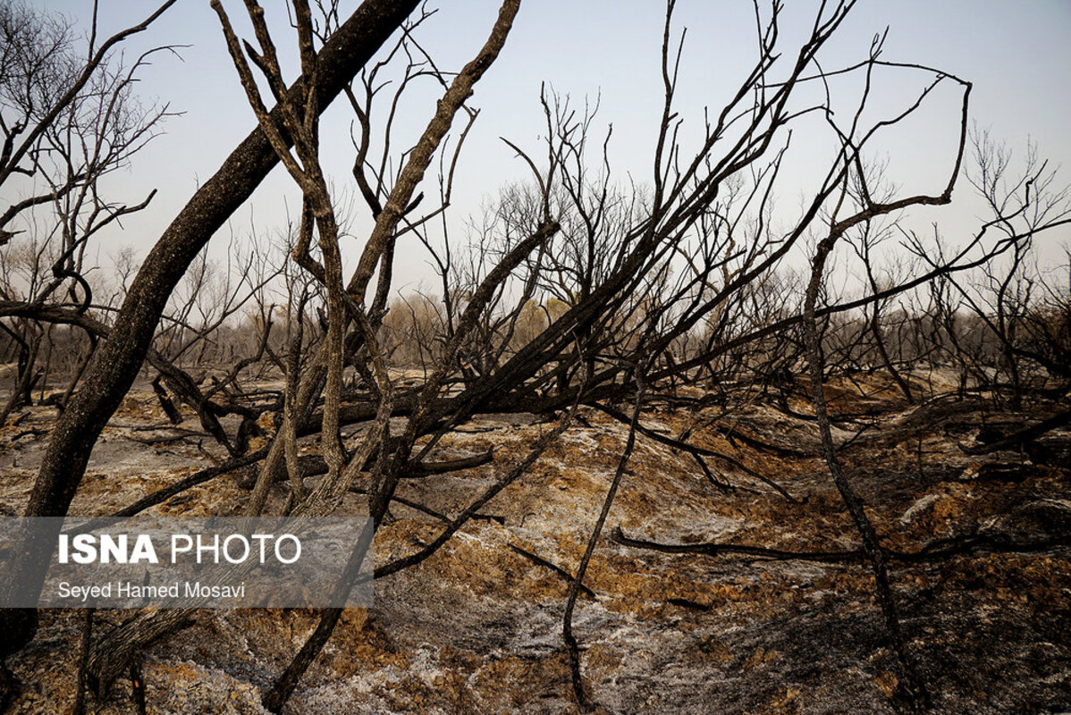 مهار آتش‌سوزی در جنگل‌های منطقه حفاظت‌شده کرخه