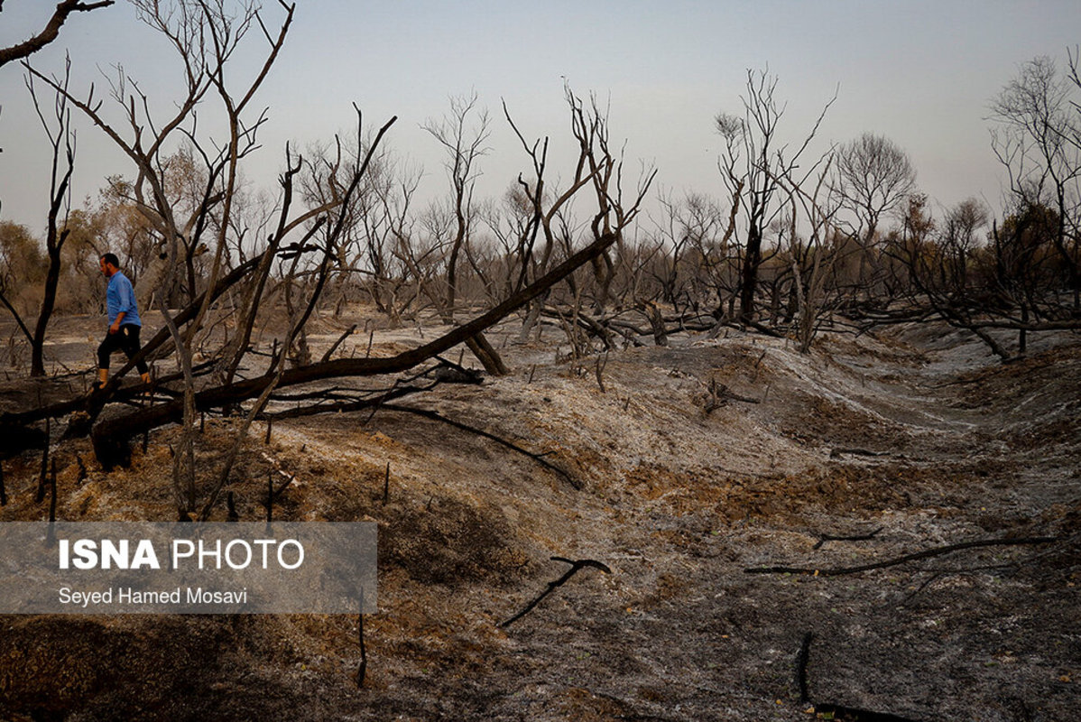 مهار آتش‌سوزی در جنگل‌های منطقه حفاظت‌شده کرخه
