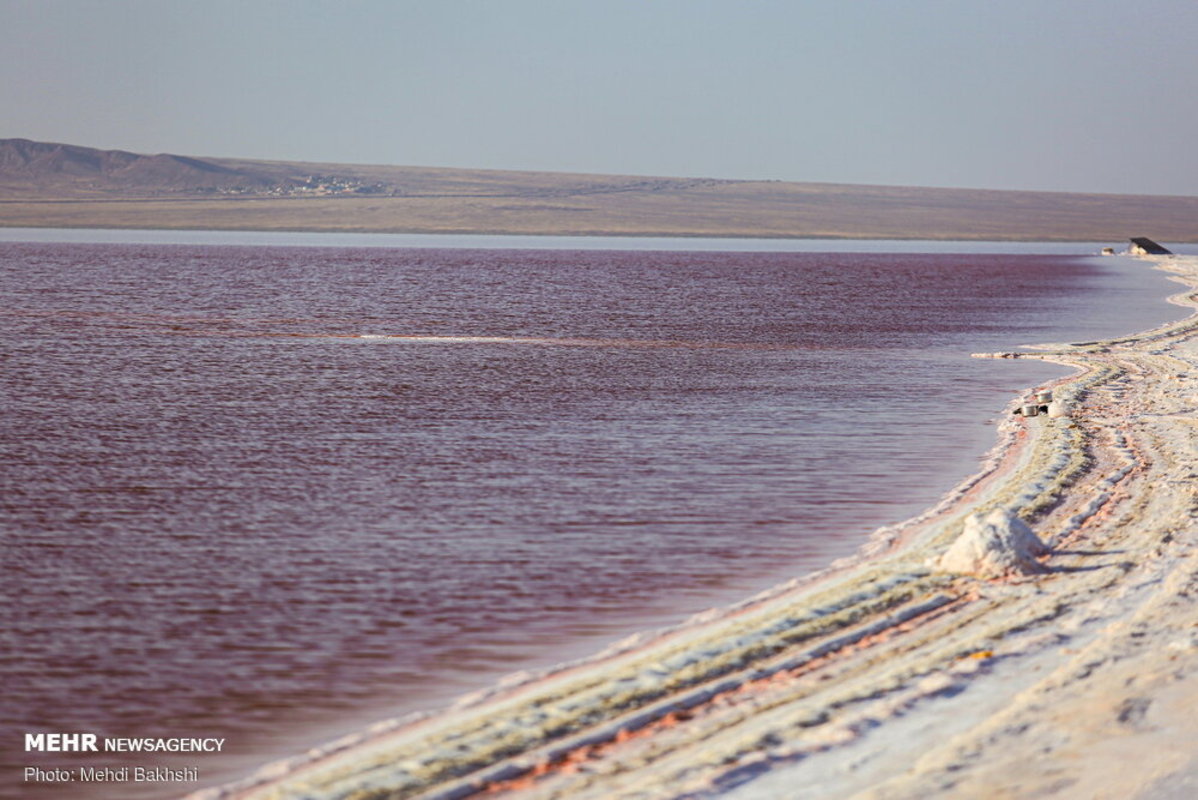 سرخ شدن دریاچه نمک قم برای اولین بار