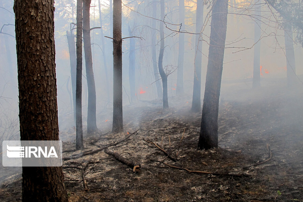 آتش سوزی در جنگل‌های رضوانشهر